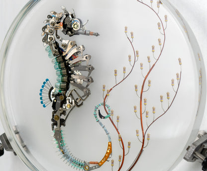 Seven 7 Jewels Seahorse, 2023