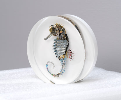 Pneumatic Nozzle Seahorse, 2024