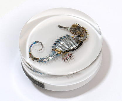 Pneumatic Nozzle Seahorse, 2024