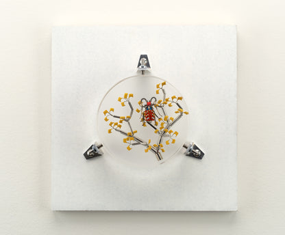 Six-Spotted Fire Bug, 2023