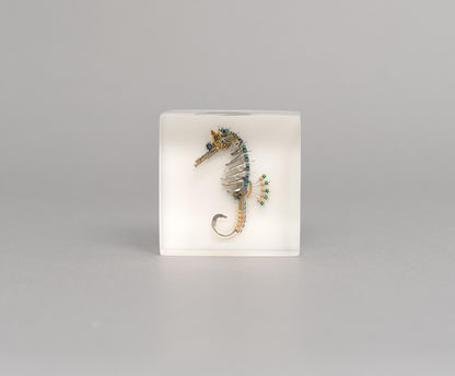 Pinion Seahorse, 2026