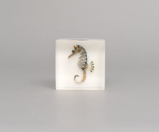 Pinion Seahorse, 2026