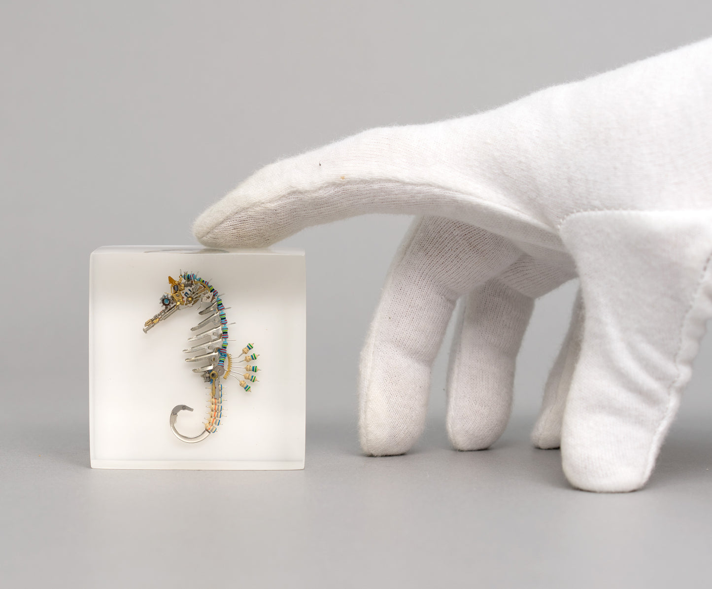 Pinion Seahorse, 2026