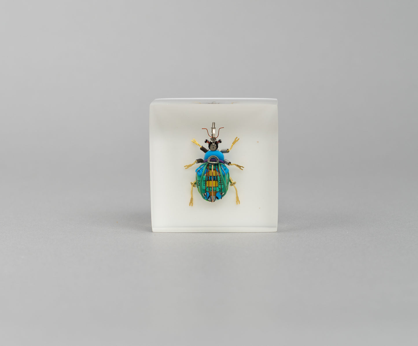 Bloopy Weevil, 2026