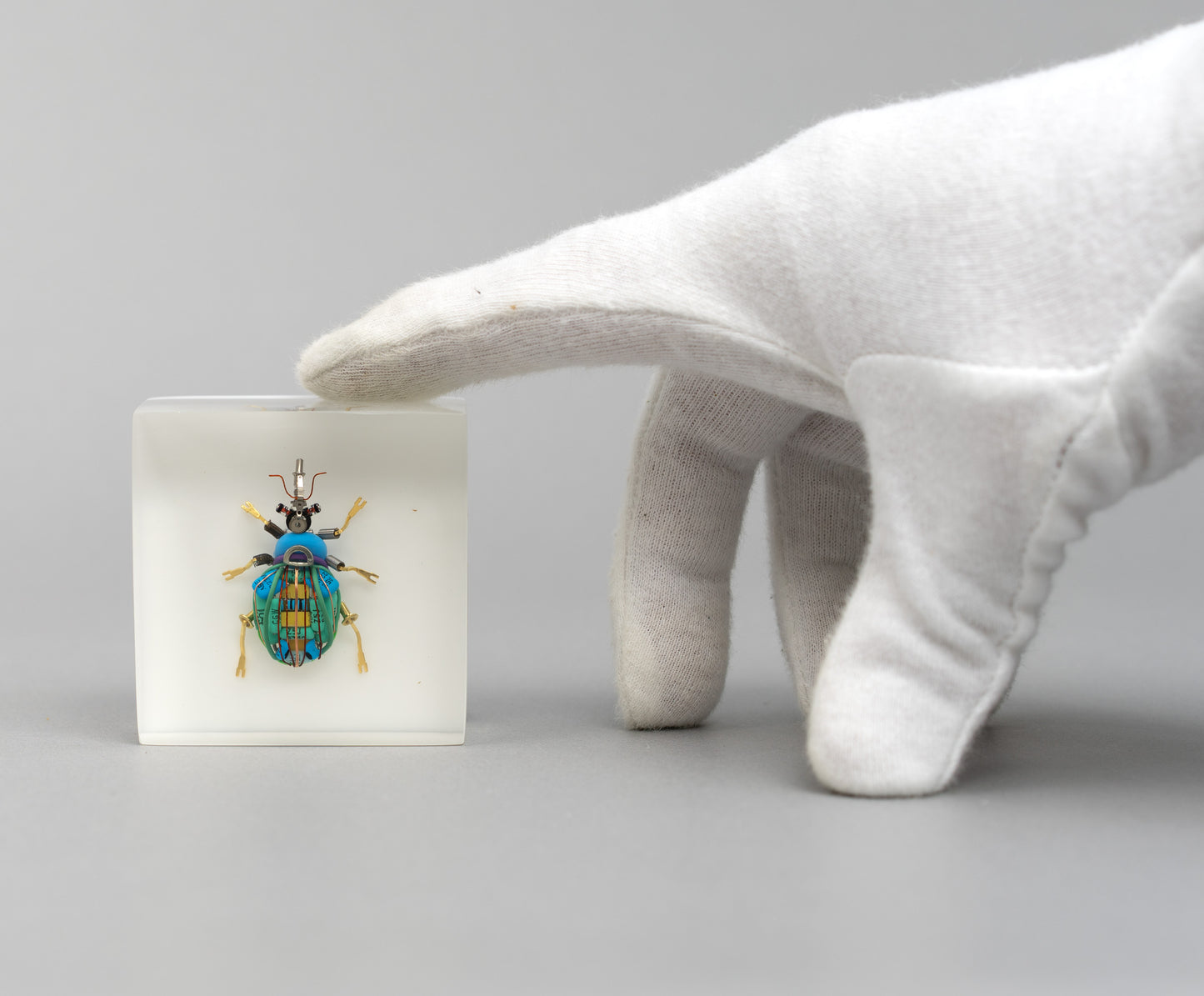 Bloopy Weevil, 2026
