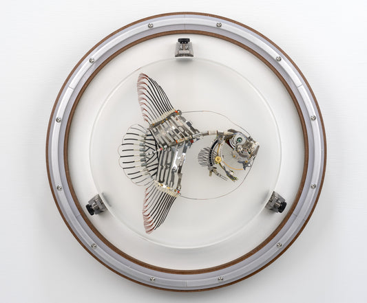 Noble Mola, 2024
