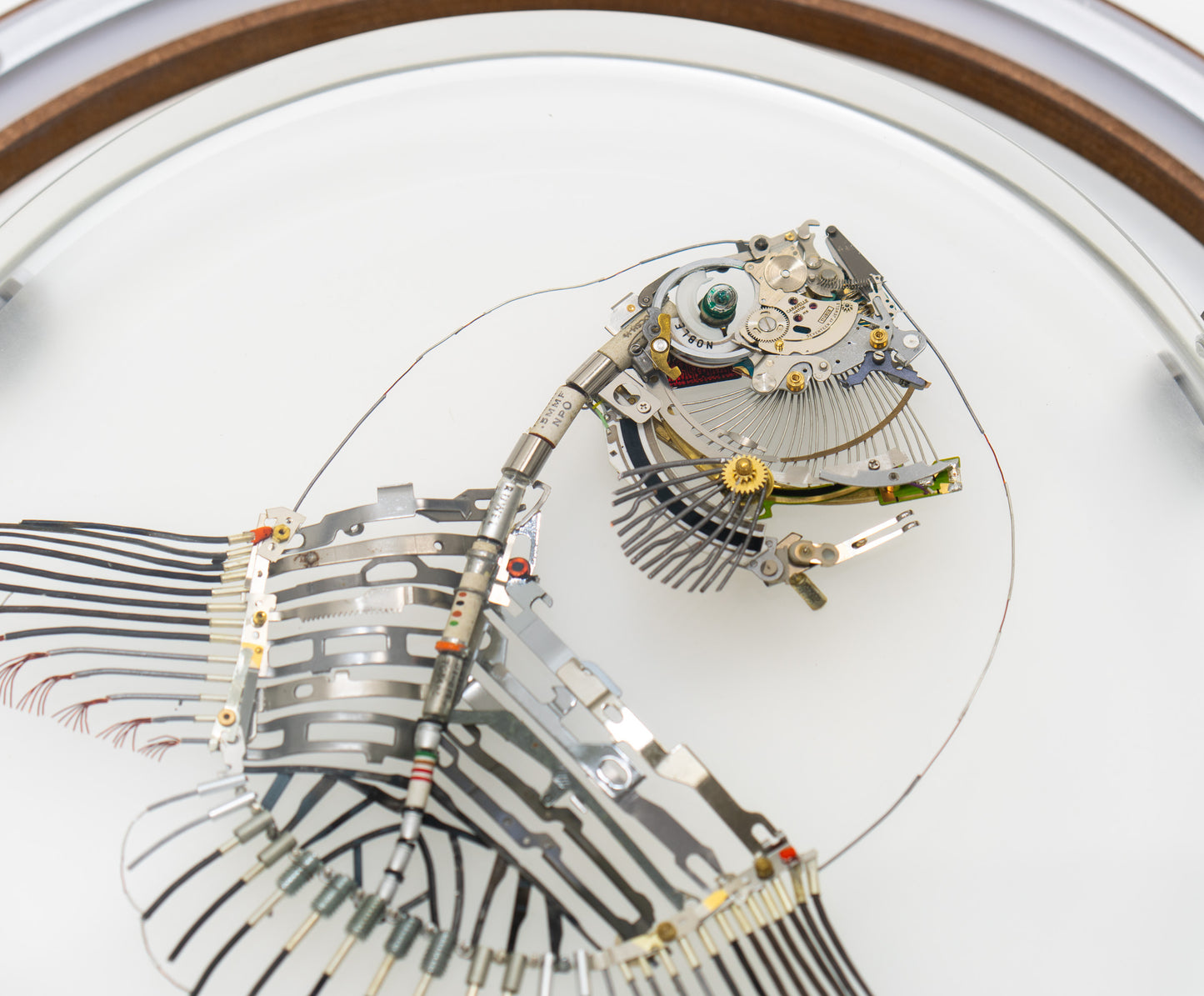 Noble Mola, 2024