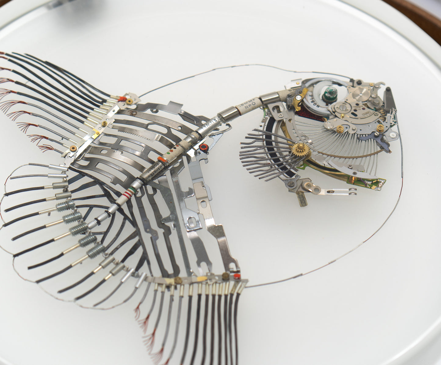Noble Mola, 2024