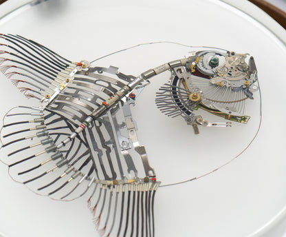 Noble Mola, 2024