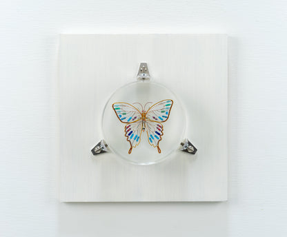 Golden Resist Swallowtail, 2024