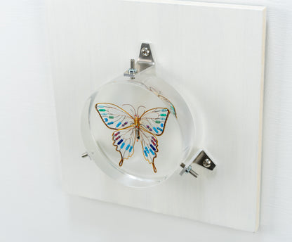 Golden Resist Swallowtail, 2024