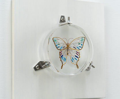 Golden Resist Swallowtail, 2024