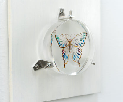 Golden Resist Swallowtail, 2024