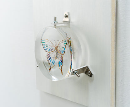 Golden Resist Swallowtail, 2024