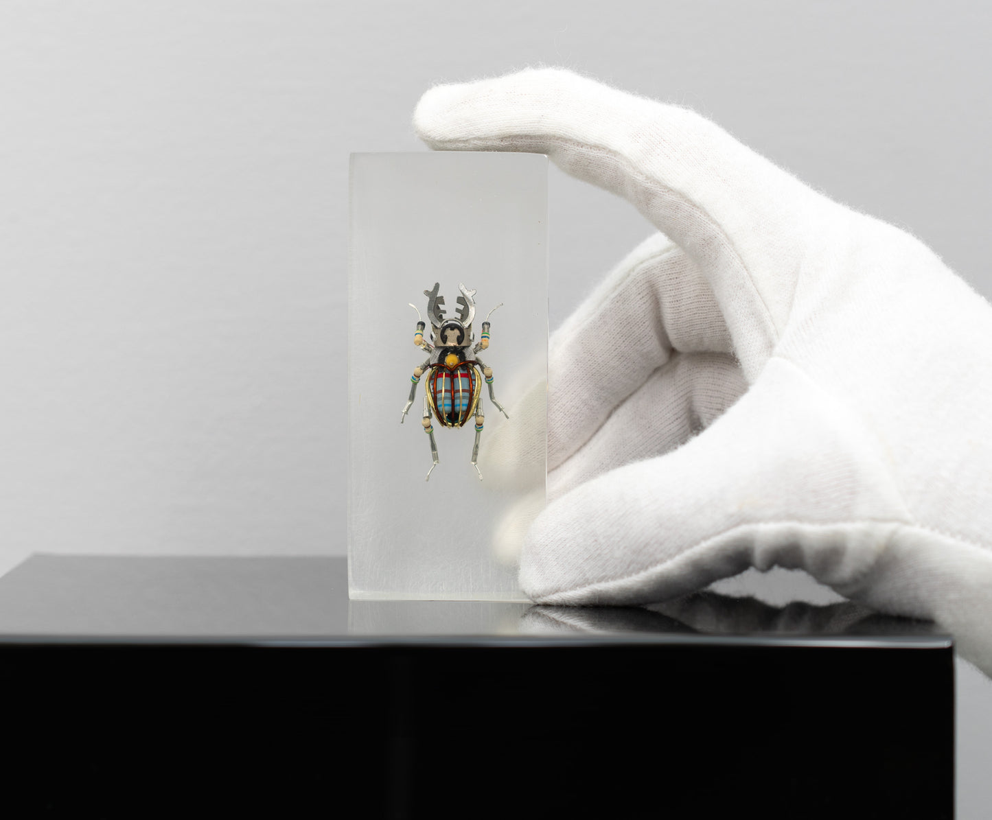 Twintank Stag Beetle, 2025