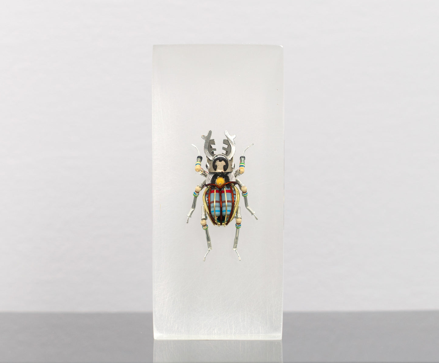 Twintank Stag Beetle, 2025