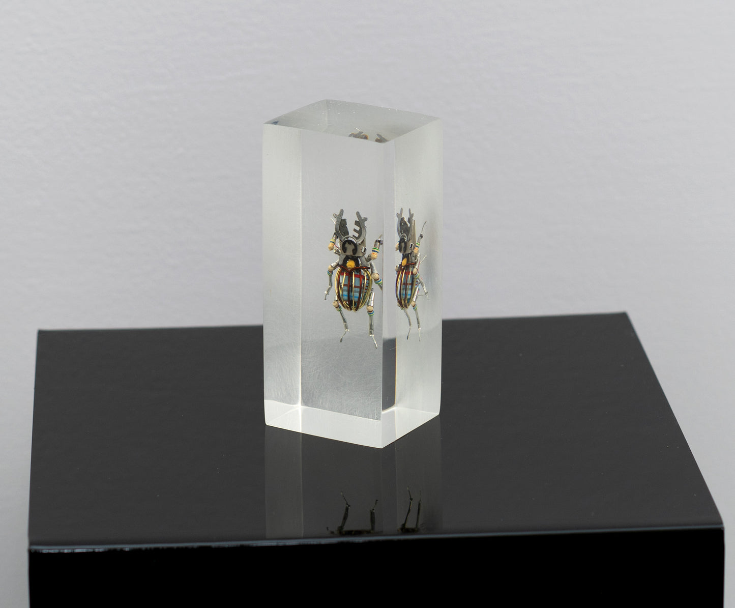 Twintank Stag Beetle, 2025