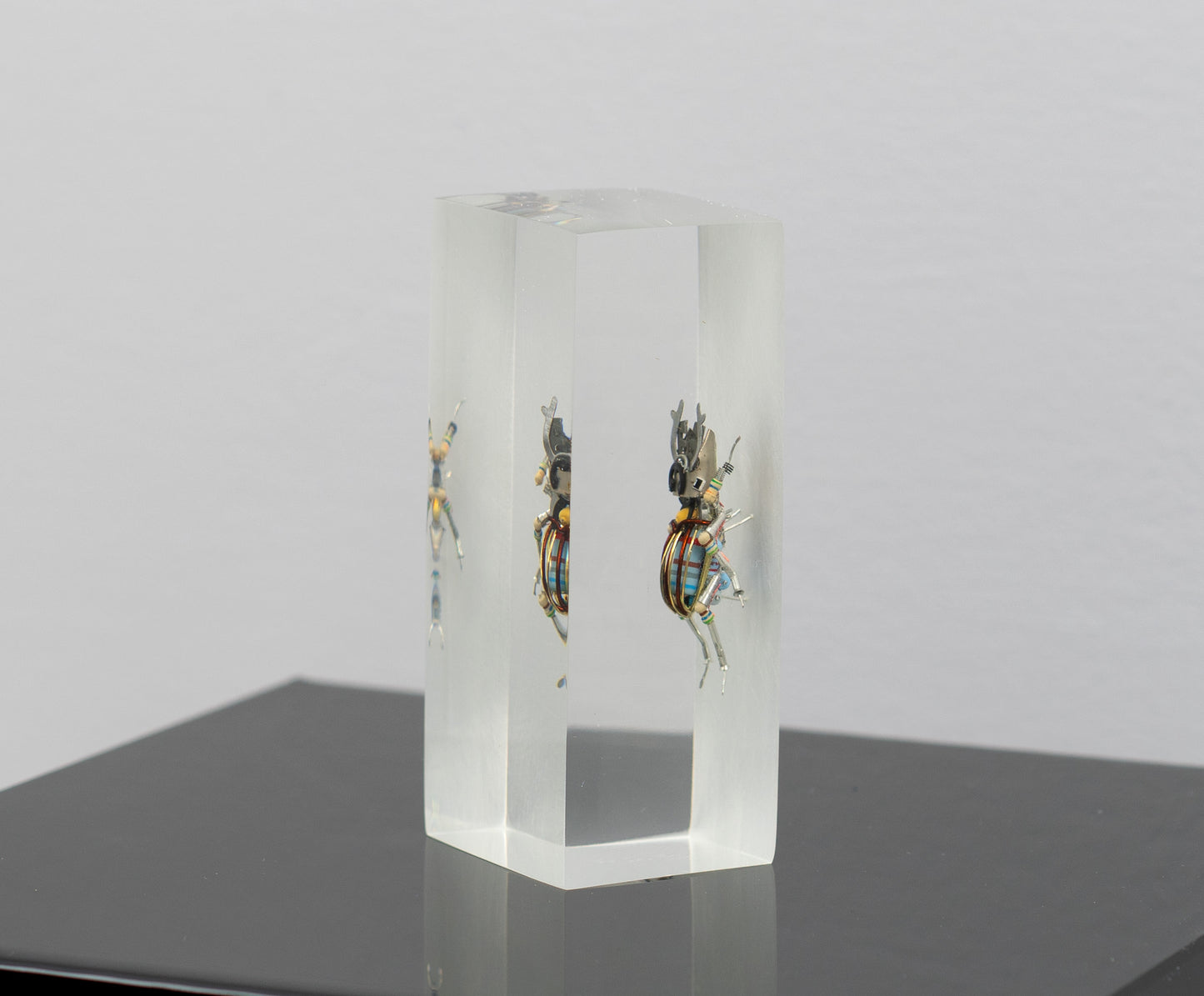 Twintank Stag Beetle, 2025