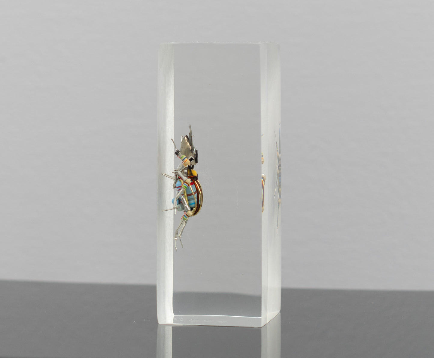 Twintank Stag Beetle, 2025