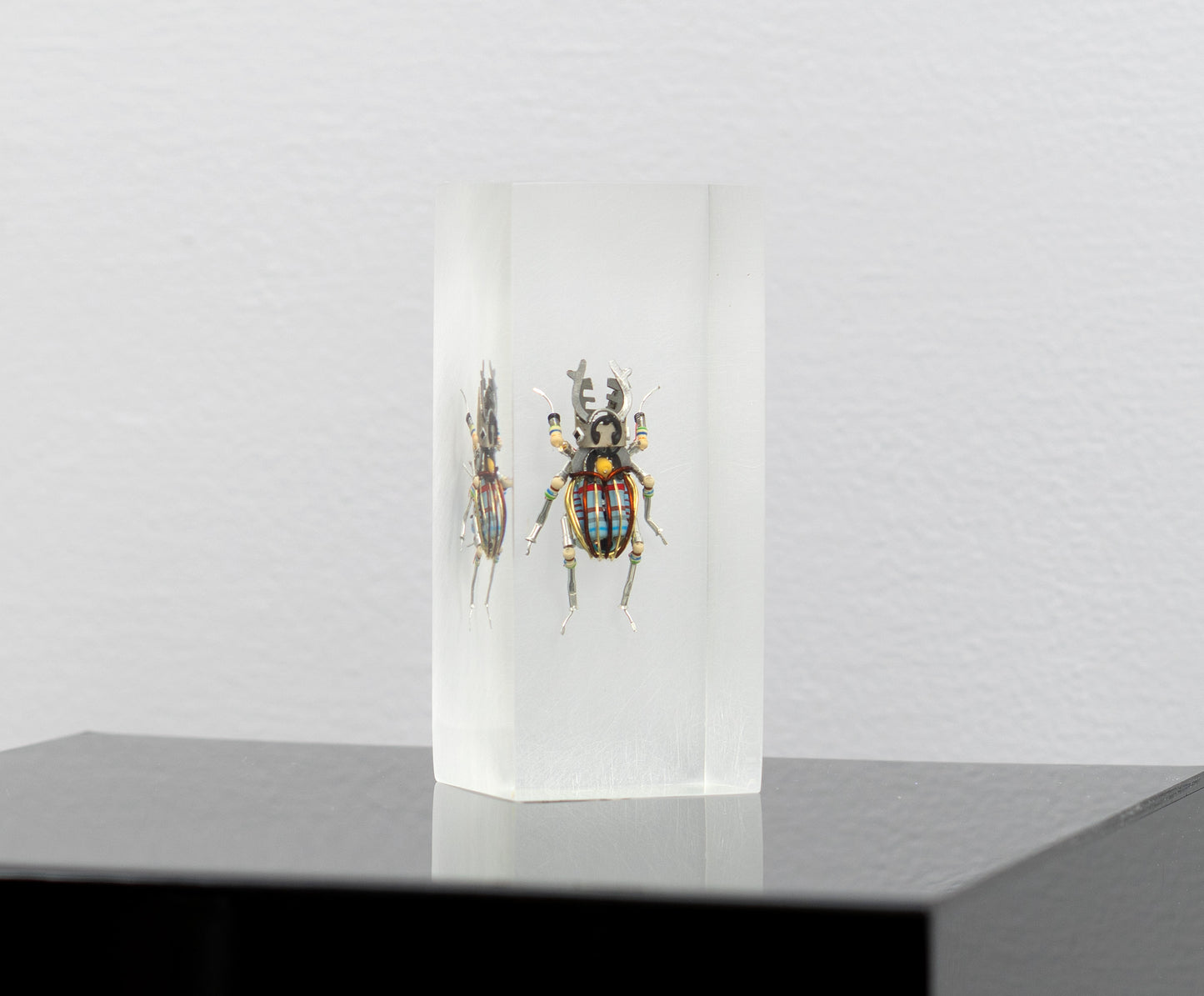 Twintank Stag Beetle, 2025