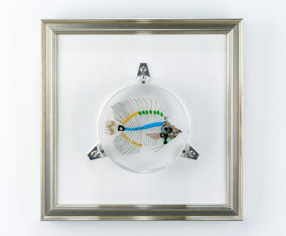 Voltaic Butterflyfish, 2023