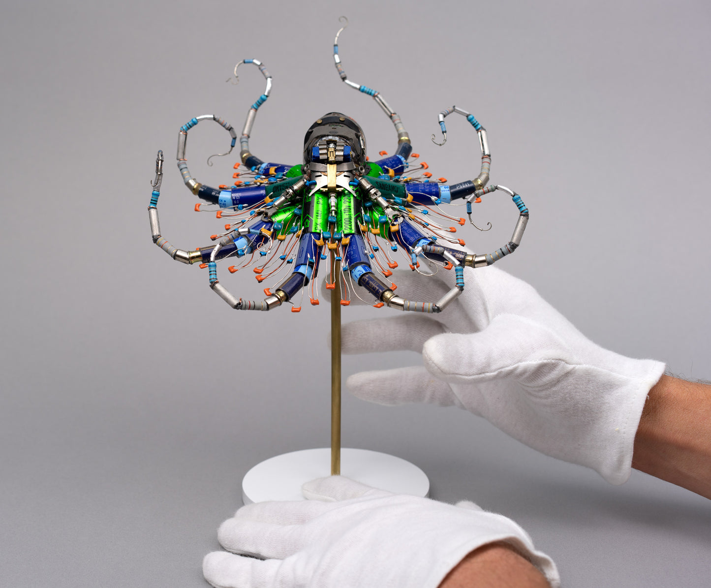 Ganymede Octopus, 2026