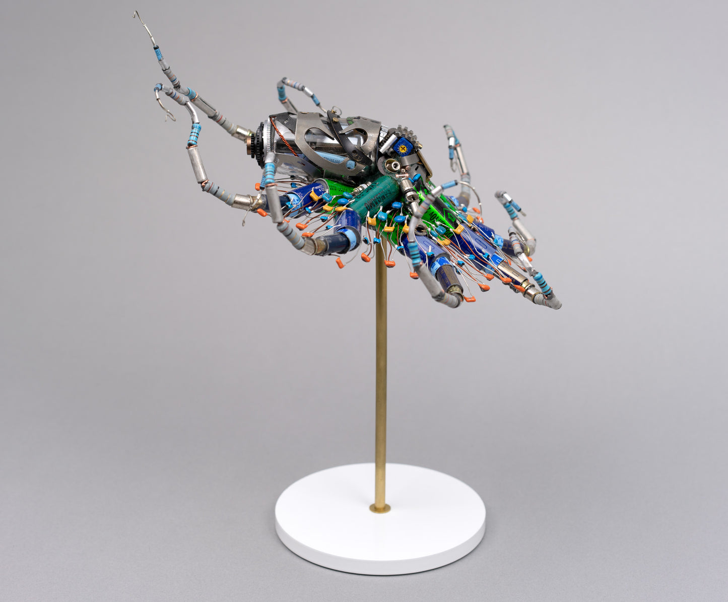 Ganymede Octopus, 2026