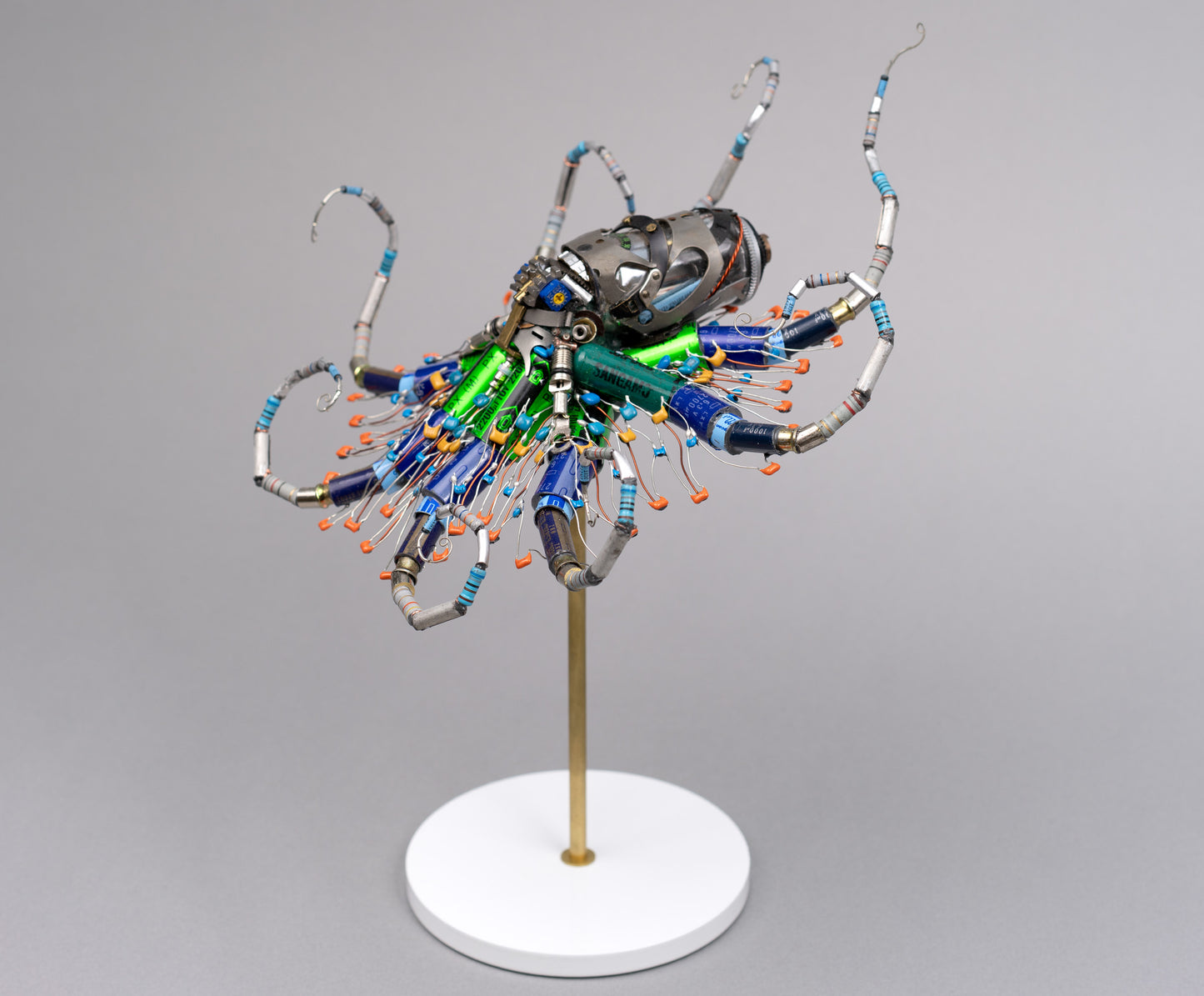 Ganymede Octopus, 2026