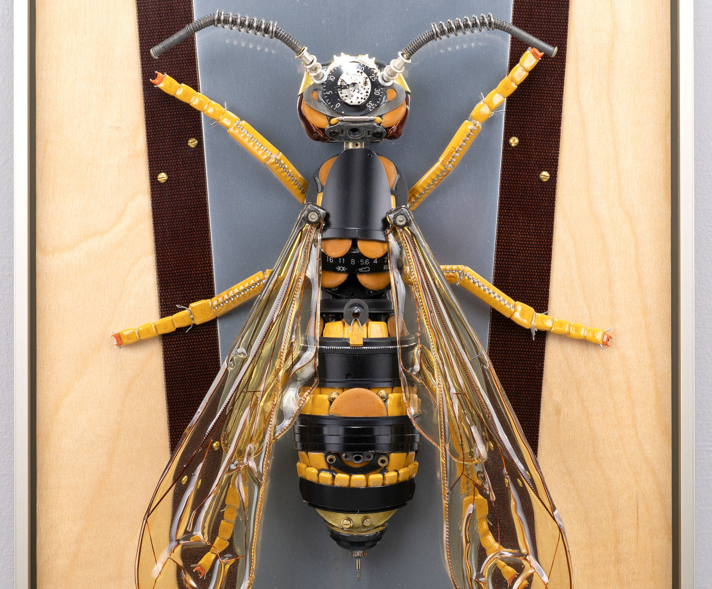 Yellowjacket, 2020